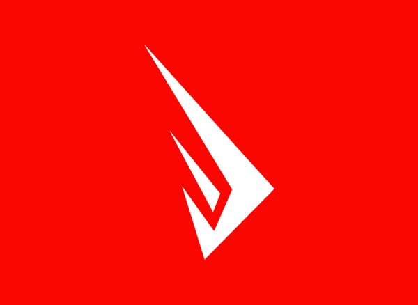 Blank Vision logo